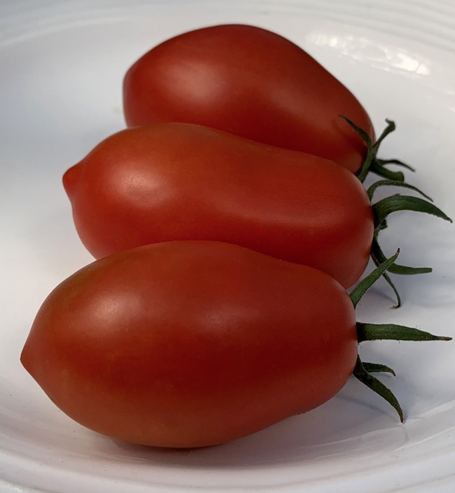 New for 2026 — Chicago Tomato Man
